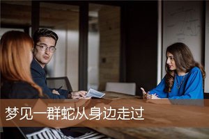 夢見一群蛇從身邊走過