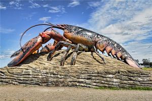 孕婦夢見龍蝦已生驗證